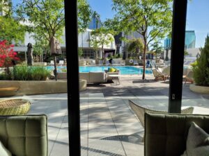 Outdoor Living Deck with Buzon Pedestals and Concrete Pavers