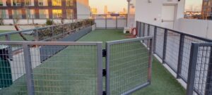 Roof Deck with Dog Park and Synthetic Turf over Buzon Pedestals and Grating Panels