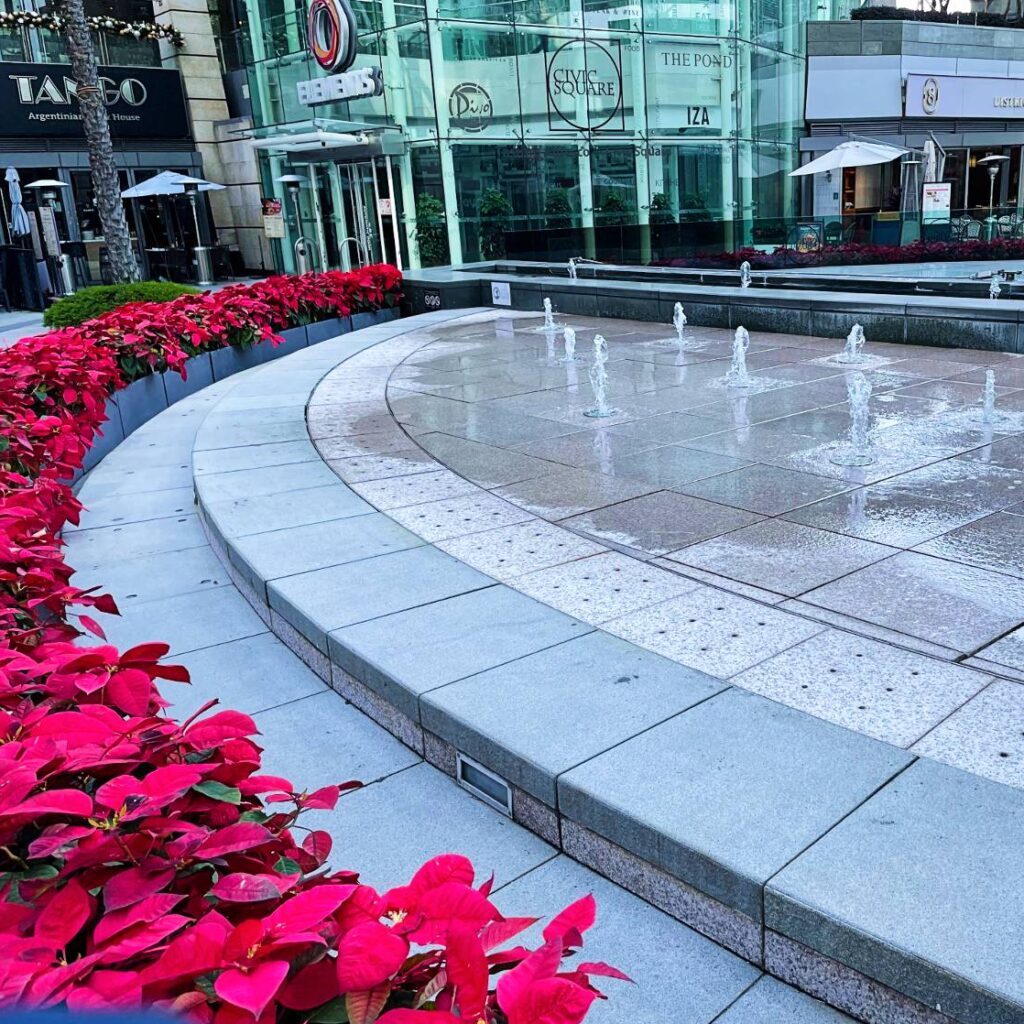 Buzon Pedestal Paver Installation in Water Feature Hong Kong Waterfront - Buzon USA West