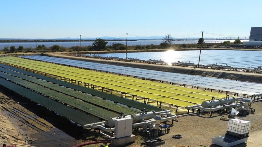 Buzon pedestals supporting a biorefinery that is producing microalgae for industrial production